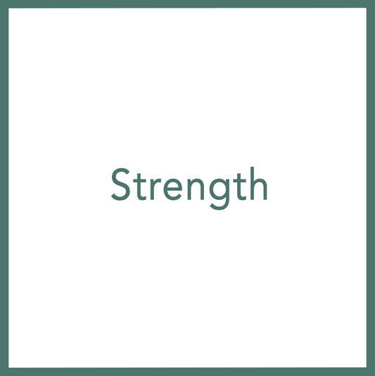 Strength - Performed by Nikola Adamović