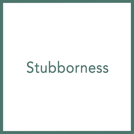 Stubborness - Performed by Nikola Adamović