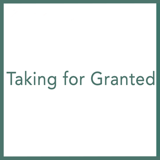 Taking for Granted - Performed by Nikola Adamović