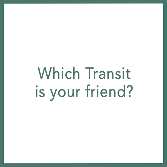 Which Transit is your Friend? - Performed by Nikola Adamović