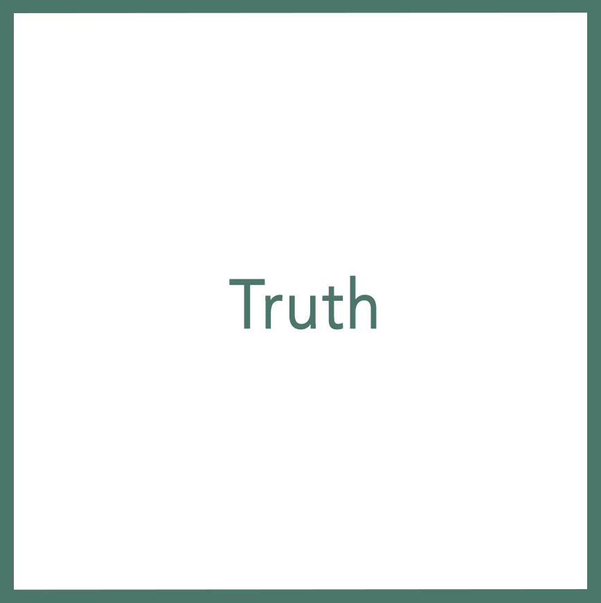 Truth - Performed by Nikola Adamović