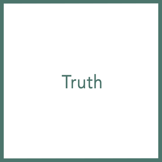 Truth - Performed by Nikola Adamović