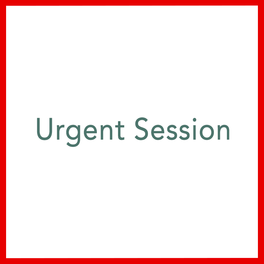 Urgent Session - Performed by Nikola Adamović