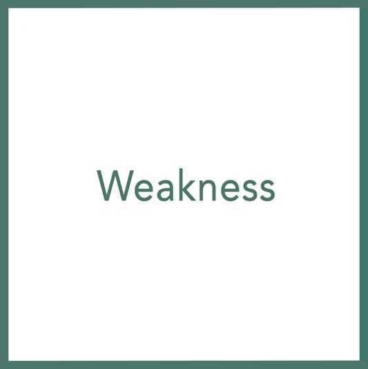 Weakness - Performed by Nikola Adamović