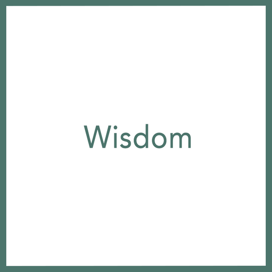 Wisdom - Performed by Nikola Adamović